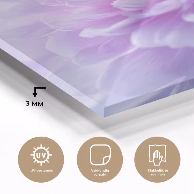 Paars - Dahlia - Dromerig plexiglas 5mm klein -sfeer2