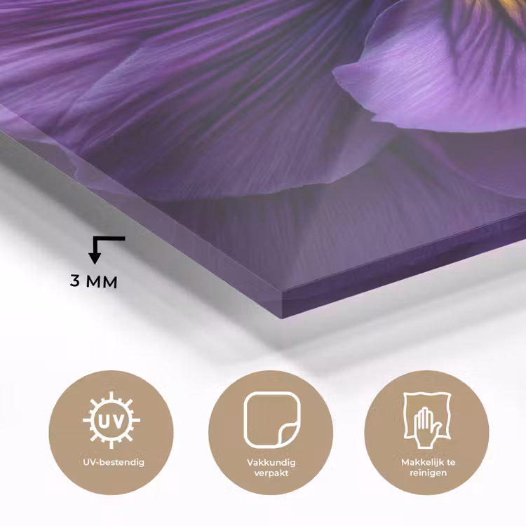 Paars - Viool - Diepte plexiglas 5mm klein -sfeer2