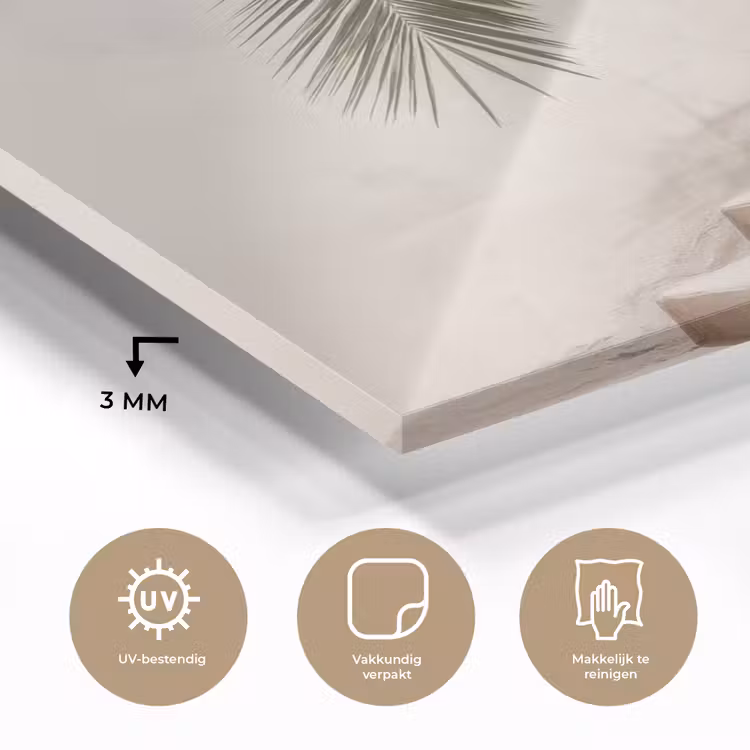 Palmboom - Schaduw - Trap - Beige plexiglas 5mm klein -sfeer2