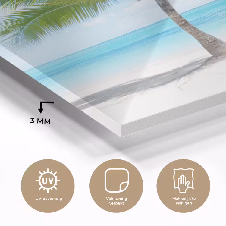 Palmboom - Strand - Zee - Zomer plexiglas 5mm klein -sfeer2
