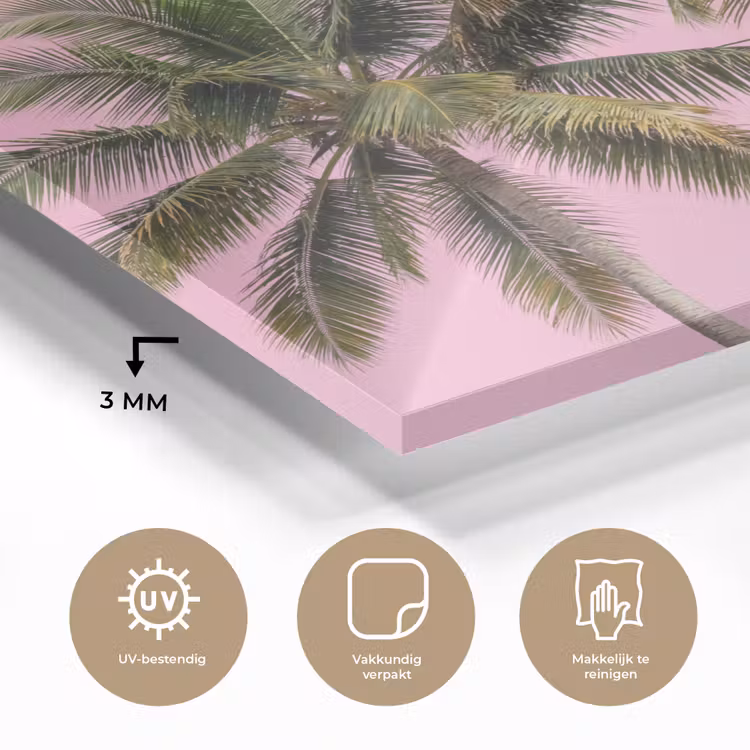 Palmboom - Tropisch - Pink plexiglas 5mm klein -sfeer2