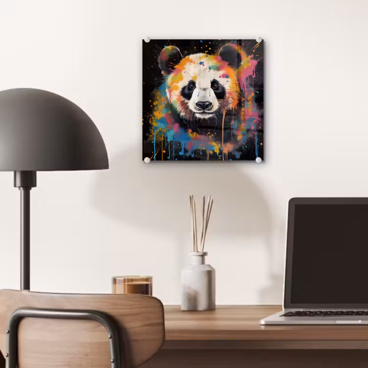 Panda - Graffiti - Dieren - Zwart - Kleuren plexiglas 5mm klein -sfeer6