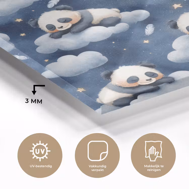 Panda's - Slapen - Blauw plexiglas 5mm klein 11 -sfeer2