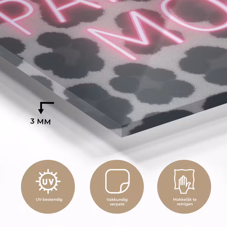 Panterprint - Zwart - Neonletters - Roze plexiglas 5mm klein -sfeer2