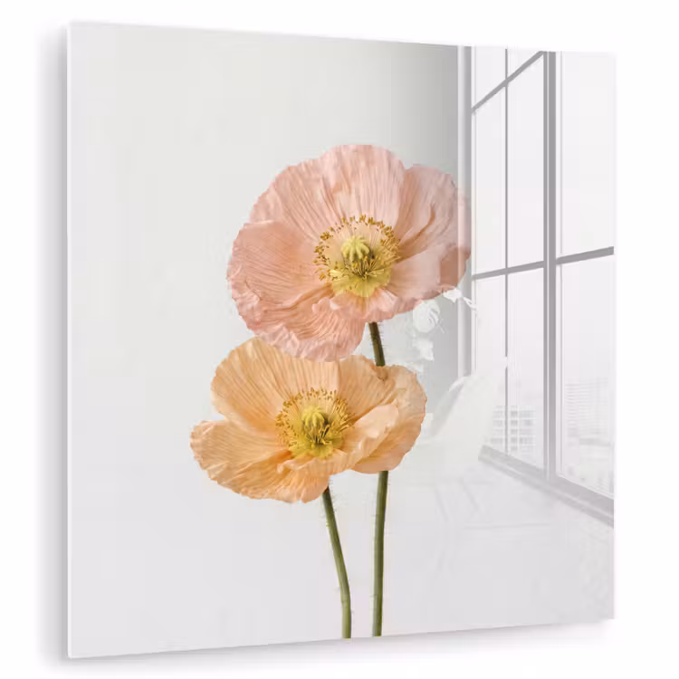 Papavers - Botanisch - Roze plexiglas 5mm klein -zzzproduct_nieuw