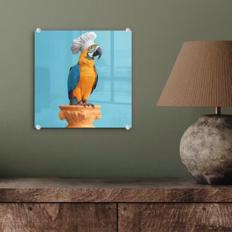 Papegaai - Koksmuts - Grappig - Vogel plexiglas 5mm klein -sfeer3
