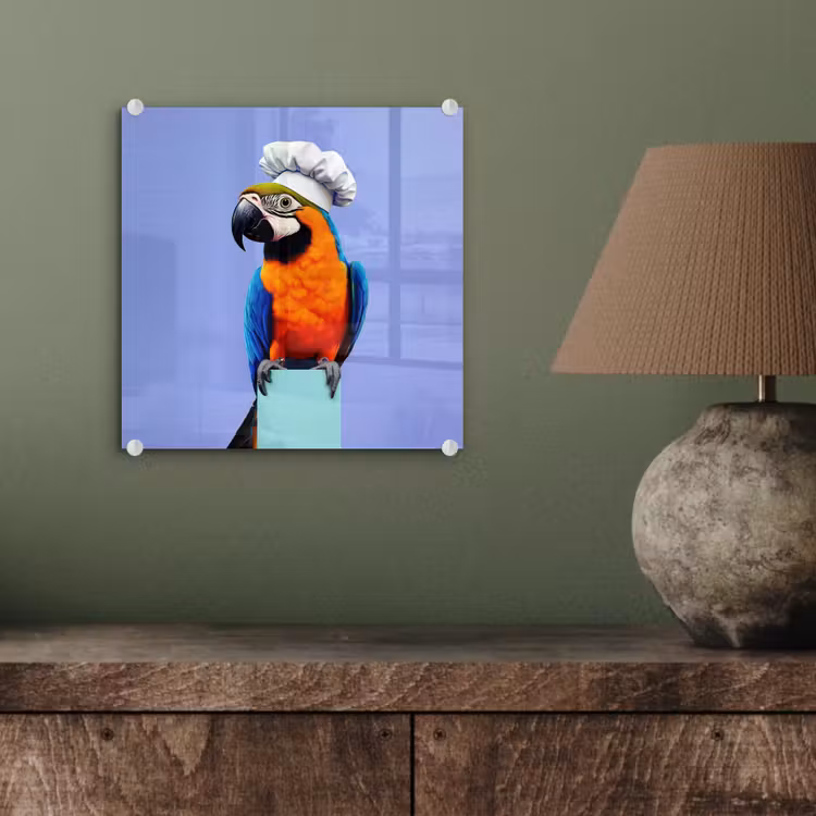Papegaai - Koksmuts - Vogel - Leuk plexiglas 5mm klein -sfeer3