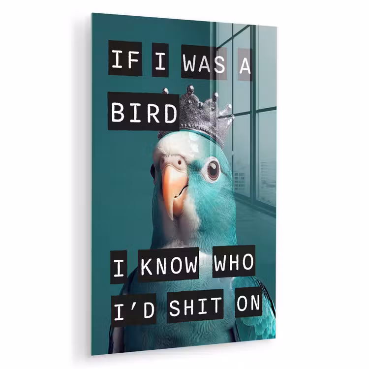 Parkiet - Turquoise - Quotes - Decoratie plexiglas 5mm klein -zzzproduct_nieuw
