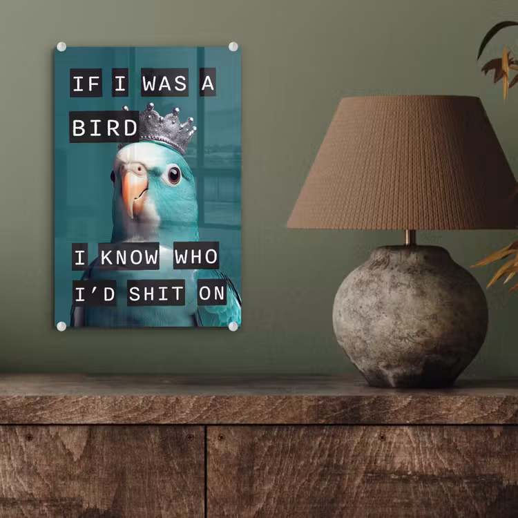 Parkiet - Turquoise - Quotes - Decoratie plexiglas 5mm klein -sfeer3
