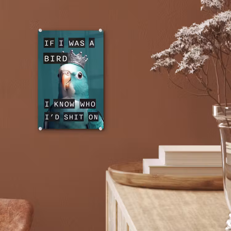 Parkiet - Turquoise - Quotes - Decoratie plexiglas 5mm klein -sfeer5