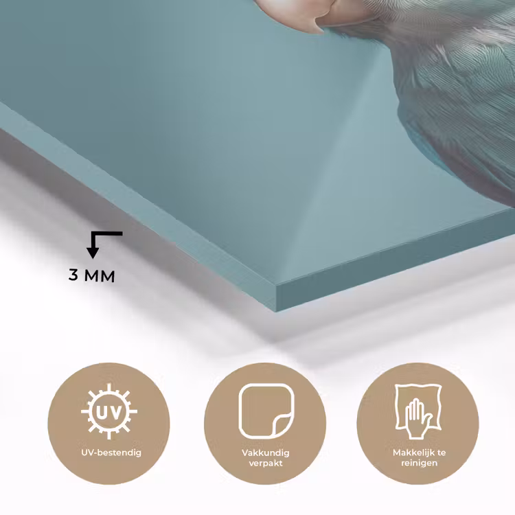 Parkiet - Vogel - Koksmuts - Cute plexiglas 5mm klein -sfeer2