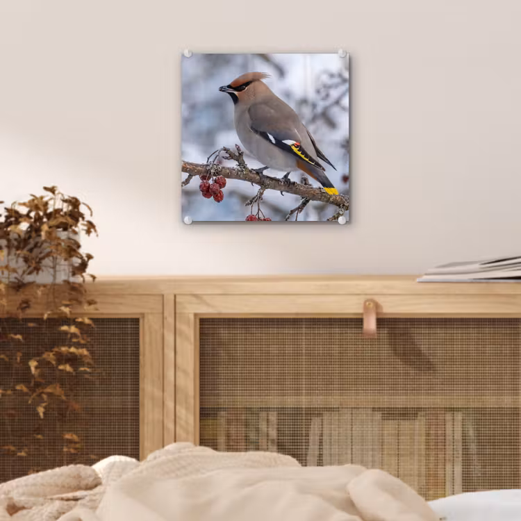 Pestvogel - Bessen - Winter - Natuur plexiglas 5mm klein -sfeer4