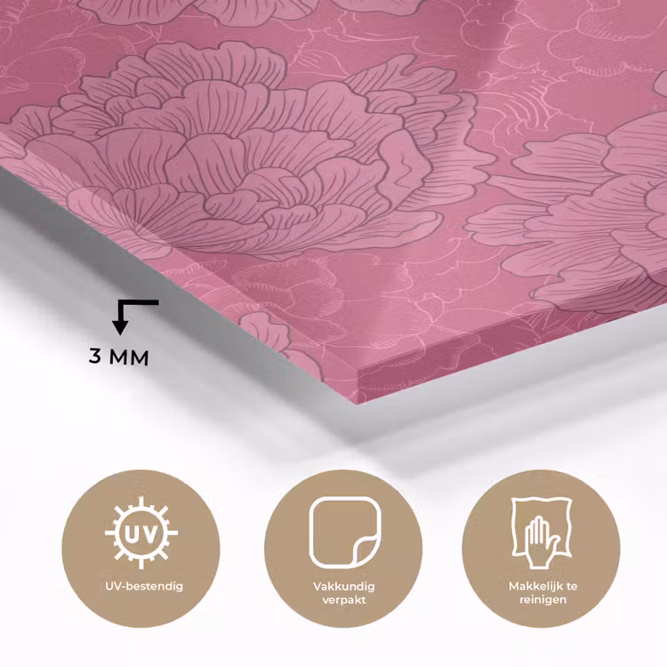 Pioenrozen - Energiek - Roze plexiglas 5mm klein 11 -sfeer2
