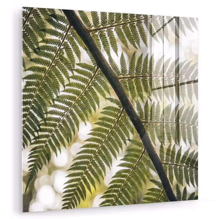 Plant - Blad - Natuur - Groen - Detail plexiglas 5mm klein -zzzproduct_nieuw