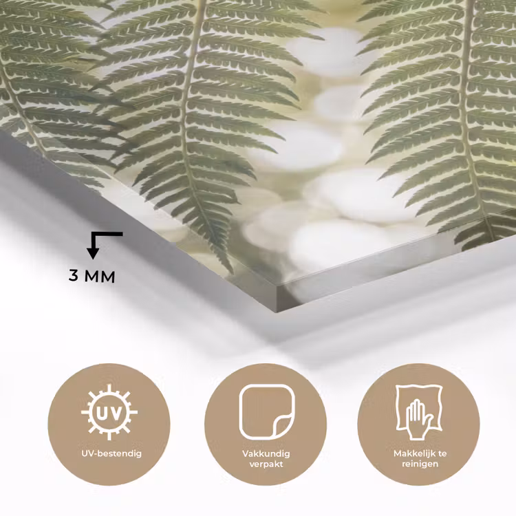 Plant - Blad - Natuur - Groen - Detail plexiglas 5mm klein -sfeer2
