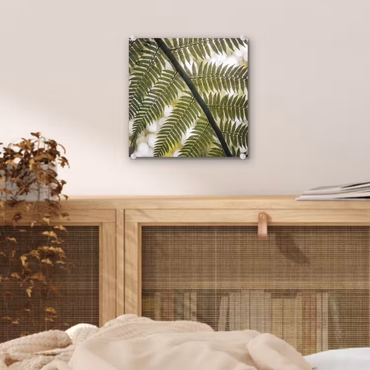 Plant - Blad - Natuur - Groen - Detail plexiglas 5mm klein -sfeer4