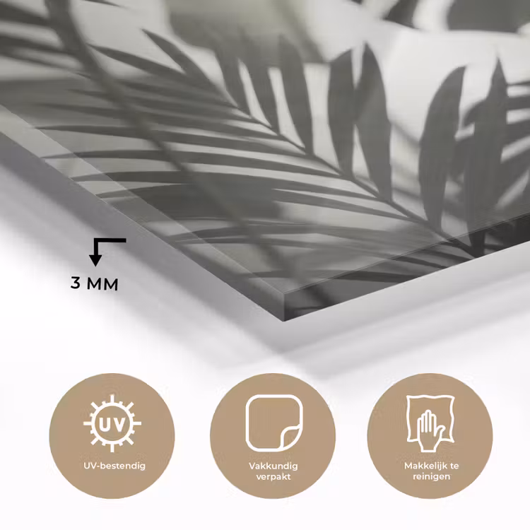 Planten - Bladeren - Natuur - Minimalistisch - Groen plexiglas 5mm klein -sfeer2