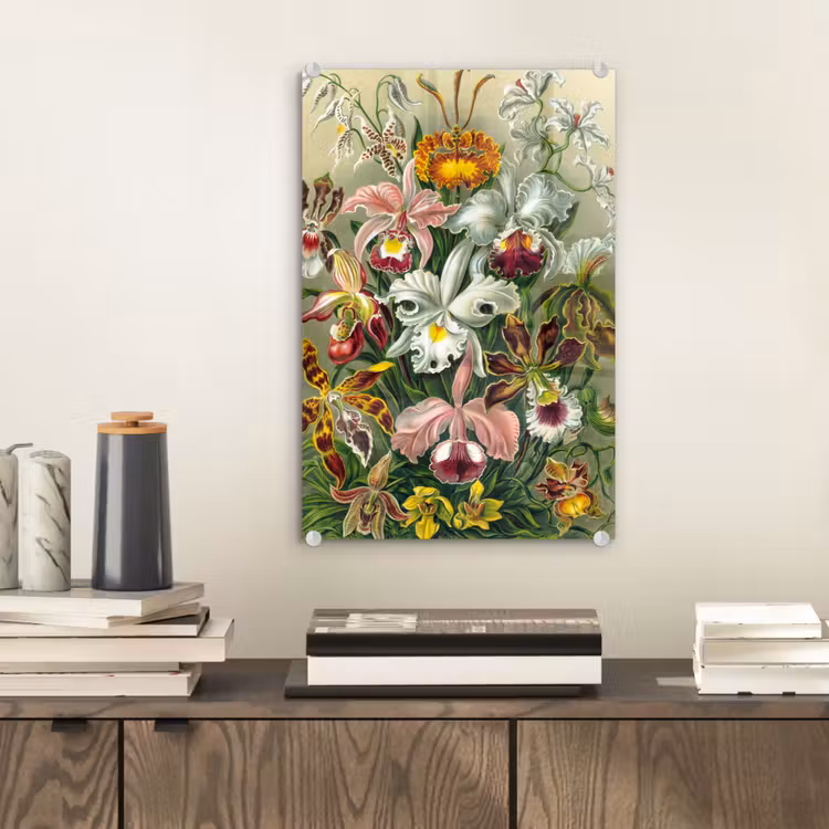 Planten - Natuur - Bloemen - Ernst Haeckel plexiglas 5mm klein -sfeer1