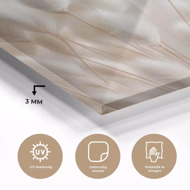 Pluimen - Beige - Minimalistisch plexiglas 5mm klein -sfeer2