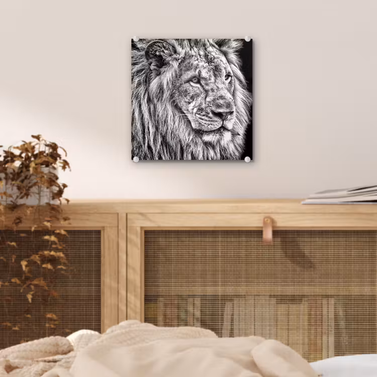 Portret - Leeuw - Zwart wit plexiglas 5mm klein -sfeer4