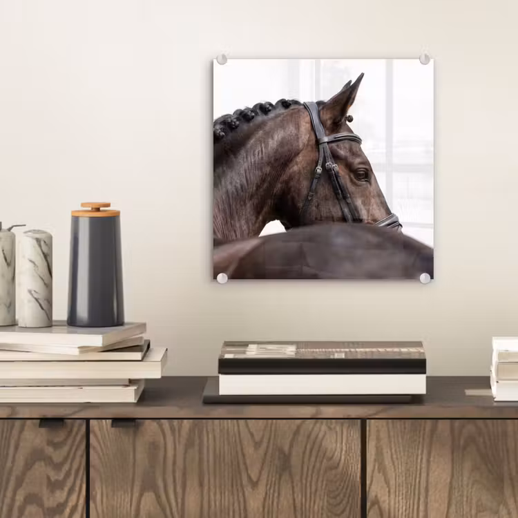 Portret - Paard - Elegant plexiglas 5mm klein -sfeer1