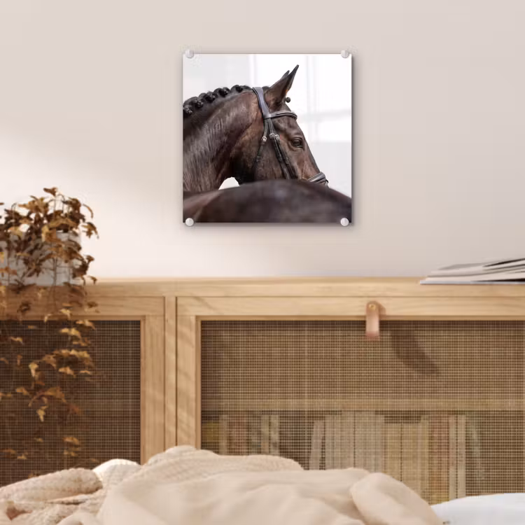 Portret - Paard - Elegant plexiglas 5mm klein -sfeer4