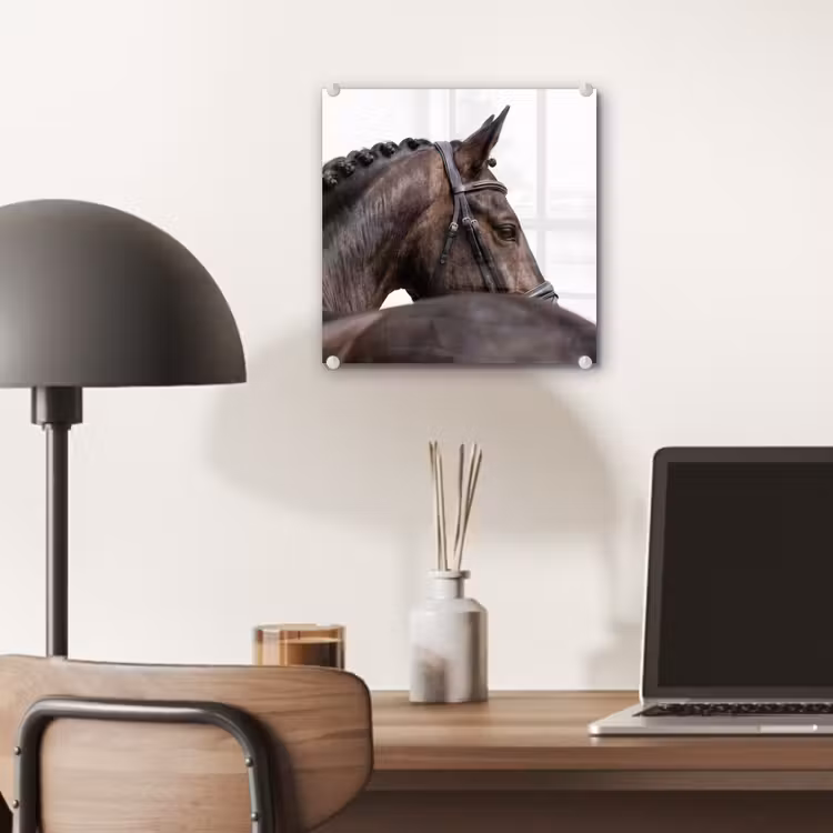 Portret - Paard - Elegant plexiglas 5mm klein -sfeer6