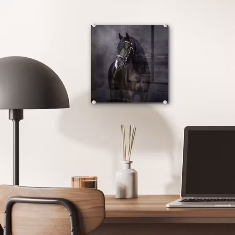 Portret - Paard - Zwart plexiglas 5mm klein -sfeer6