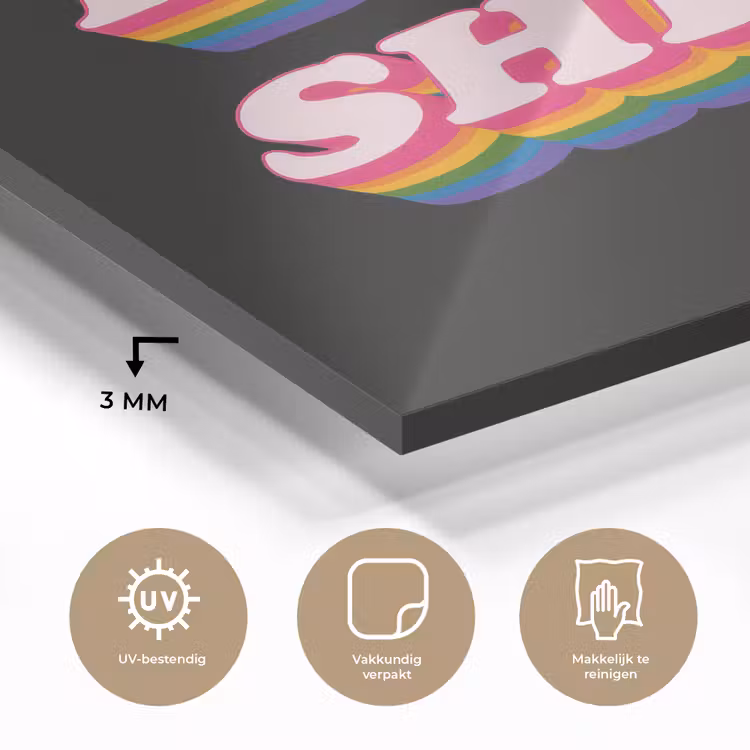 Quote - Regenboog - Roze - Zwart plexiglas 5mm klein -sfeer2
