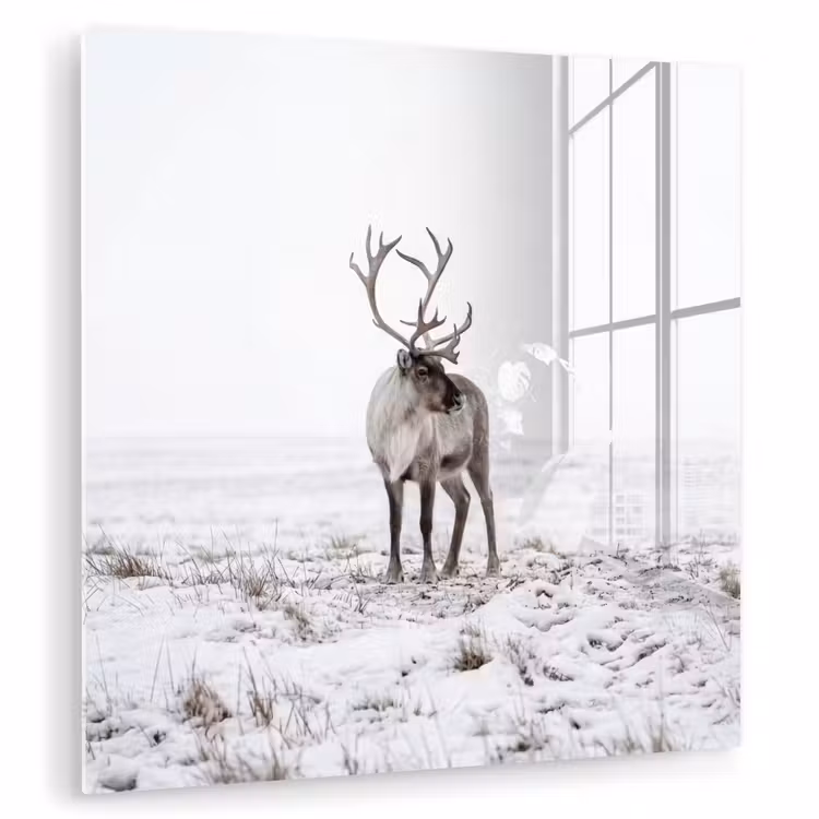 Rendier - Gewei - Sneeuw - Winter plexiglas 5mm klein -zzzproduct_nieuw