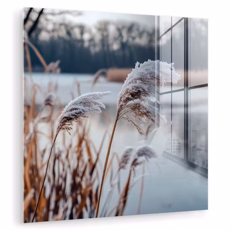 Riet - Gras - Natuur - Winter - Meer plexiglas 5mm klein -zzzproduct_nieuw