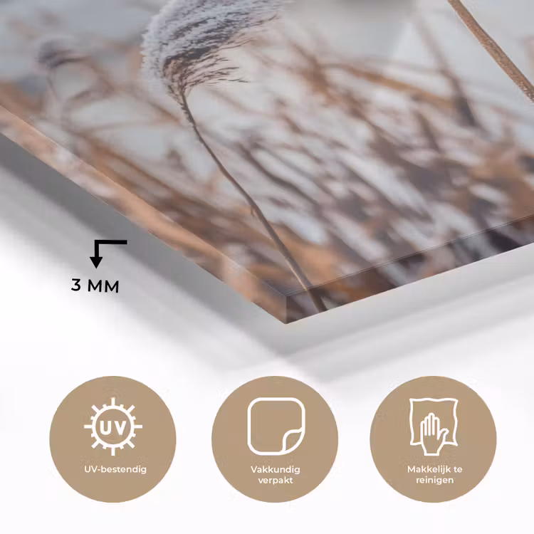 Riet - Gras - Natuur - Winter - Meer plexiglas 5mm klein -sfeer2