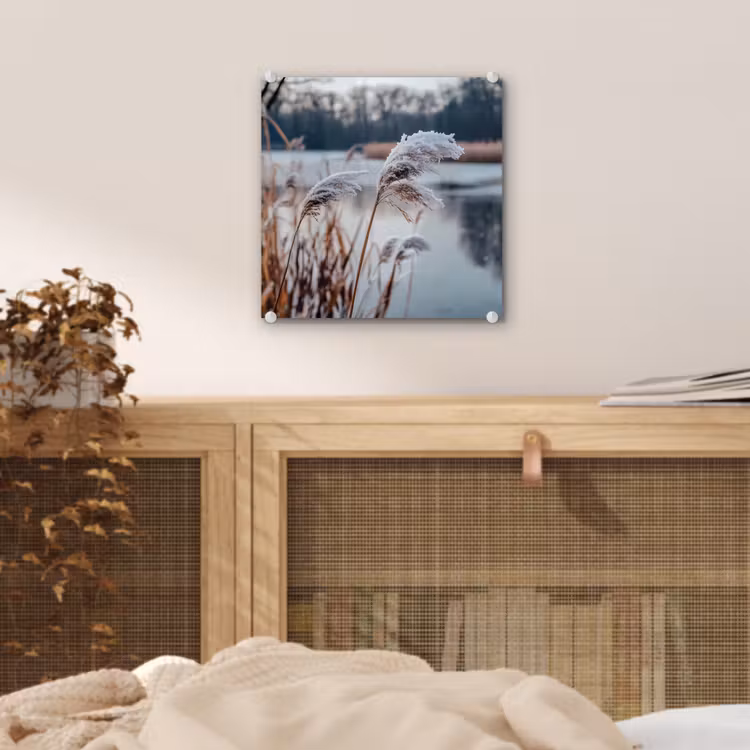 Riet - Gras - Natuur - Winter - Meer plexiglas 5mm klein -sfeer4