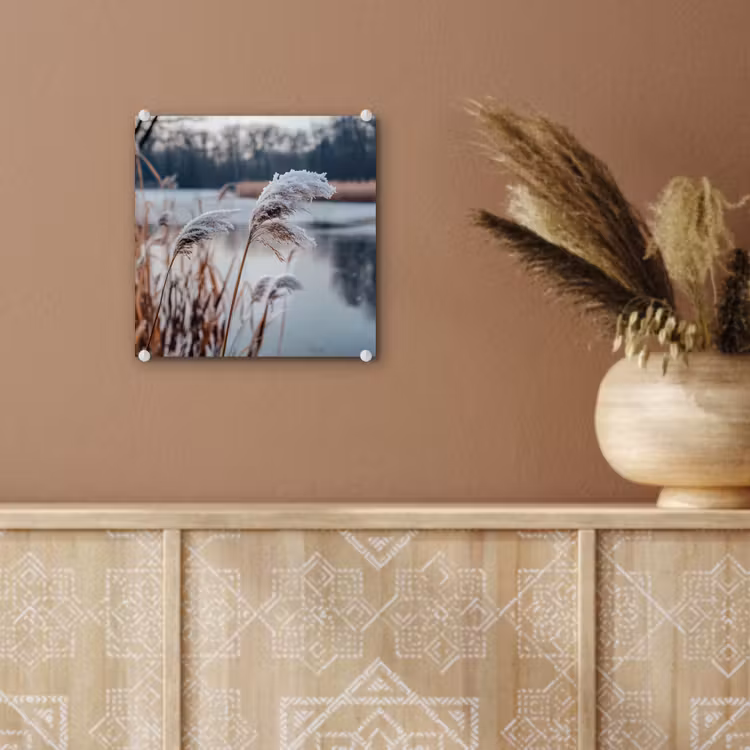 Riet - Gras - Natuur - Winter - Meer plexiglas 5mm klein -sfeer5