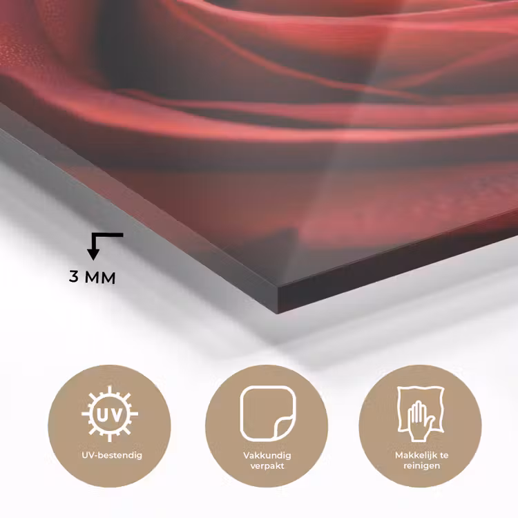 Rood - Roos - Romantisch plexiglas 5mm klein -sfeer2