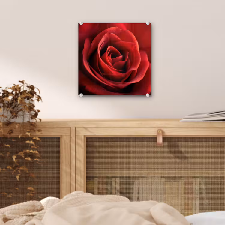 Rood - Roos - Romantisch plexiglas 5mm klein -sfeer4