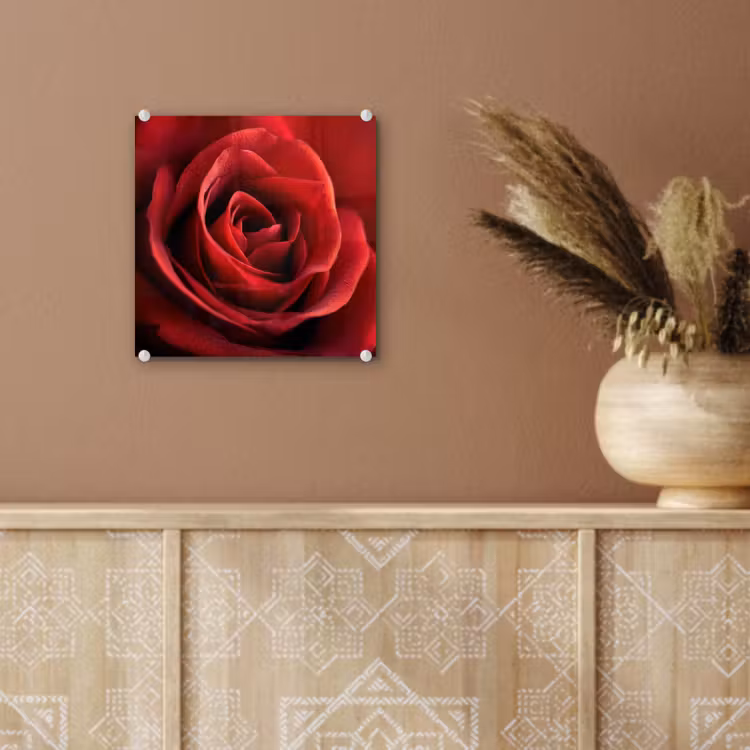 Rood - Roos - Romantisch plexiglas 5mm klein -sfeer5