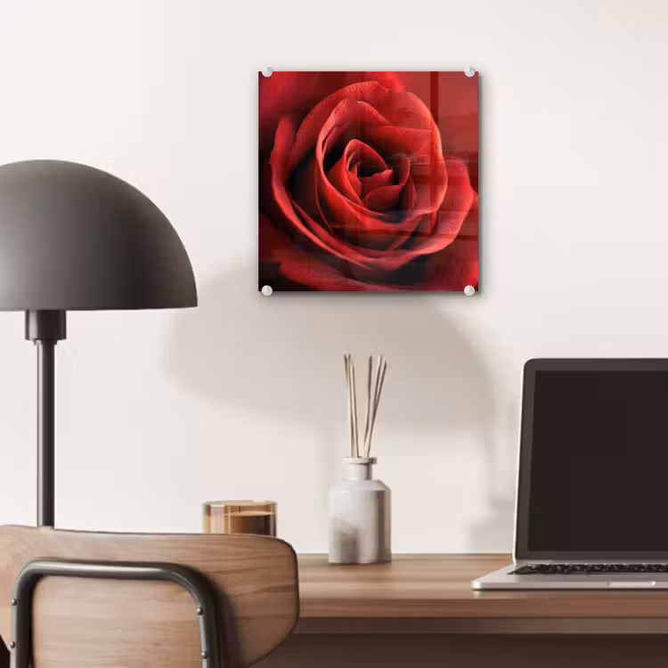 Rood - Roos - Romantisch plexiglas 5mm klein -sfeer6