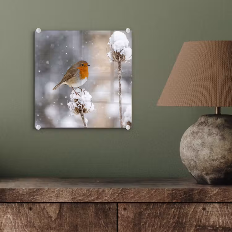 Roodborstje - Gedroogde bloem - Sneeuw - Winter - Vertederend plexiglas 5mm klein -sfeer3