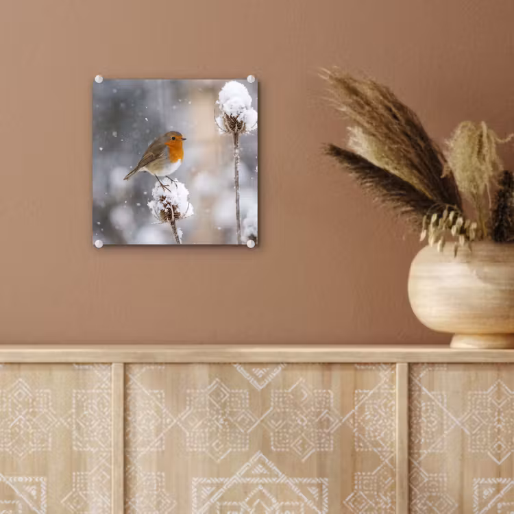 Roodborstje - Gedroogde bloem - Sneeuw - Winter - Vertederend plexiglas 5mm klein -sfeer5