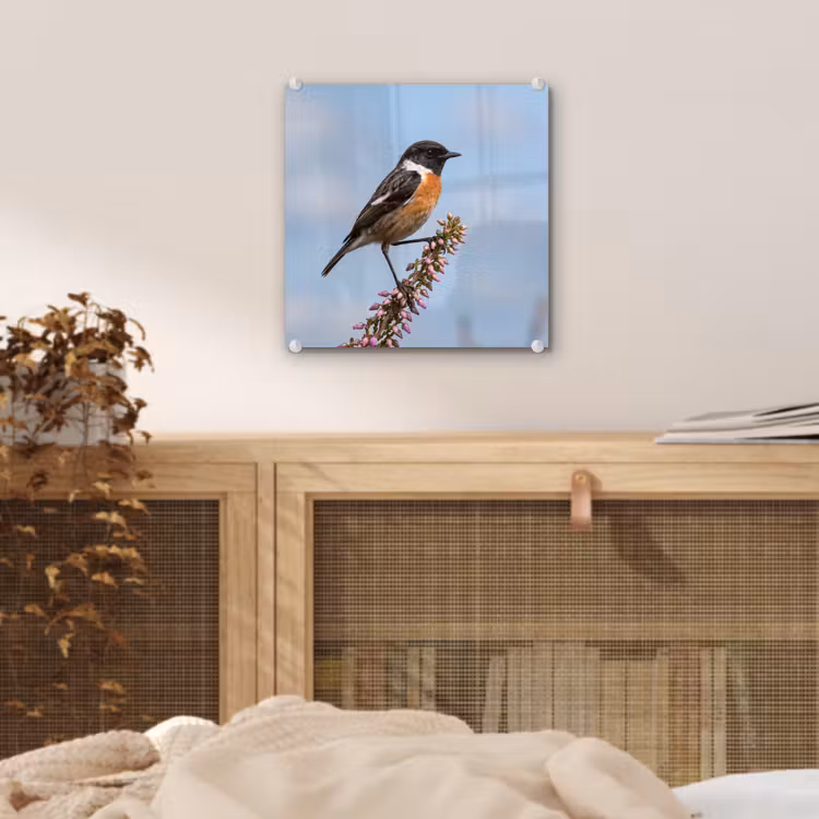 Roodborsttapuit - Heide - Paars - Natuur - Sfeervol plexiglas 5mm klein -sfeer4