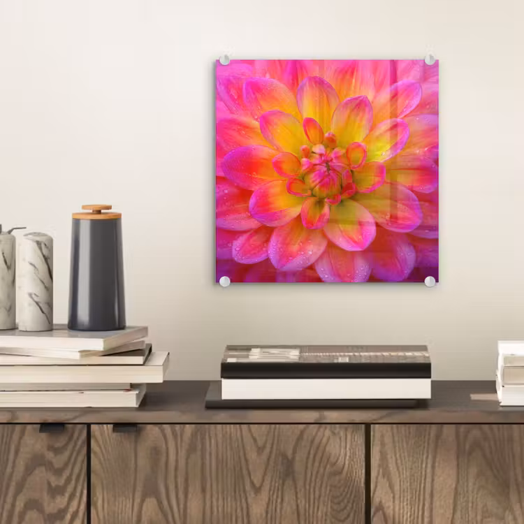 Roze - Dahlia - Kleurrijk plexiglas 5mm klein -sfeer1