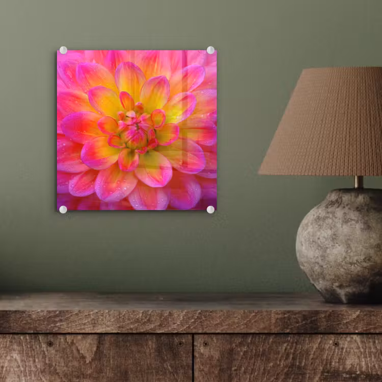 Roze - Dahlia - Kleurrijk plexiglas 5mm klein -sfeer3