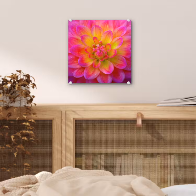Roze - Dahlia - Kleurrijk plexiglas 5mm klein -sfeer4