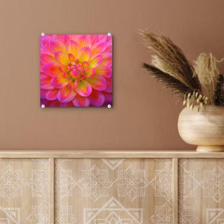 Roze - Dahlia - Kleurrijk plexiglas 5mm klein -sfeer5