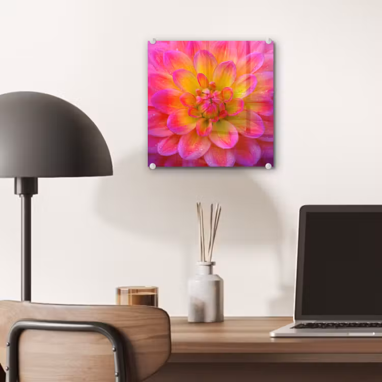 Roze - Dahlia - Kleurrijk plexiglas 5mm klein -sfeer6