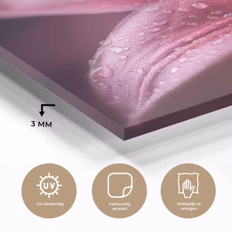 Roze - lelie - Dauwdruppels plexiglas 5mm klein -sfeer2