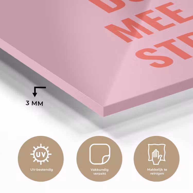 Roze - Zon - Quote plexiglas 5mm klein -sfeer2