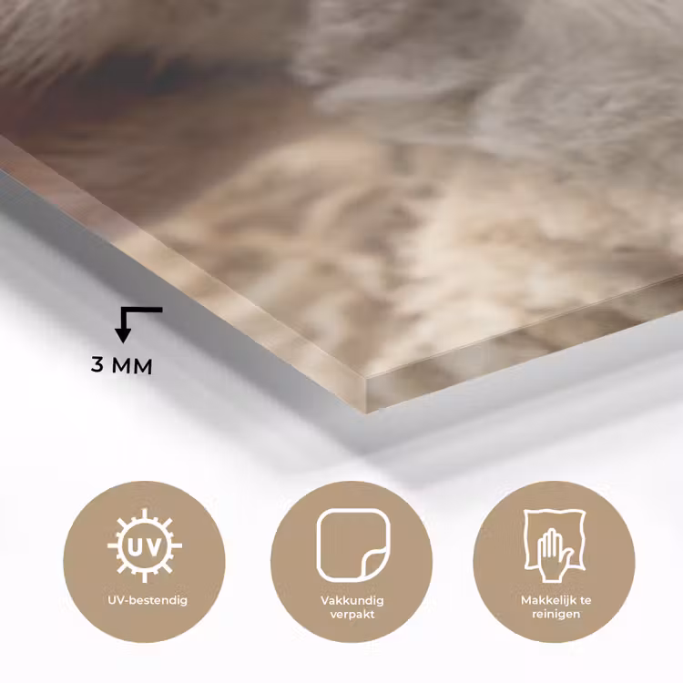 Schaap - Oog - Wit plexiglas 5mm klein -sfeer2