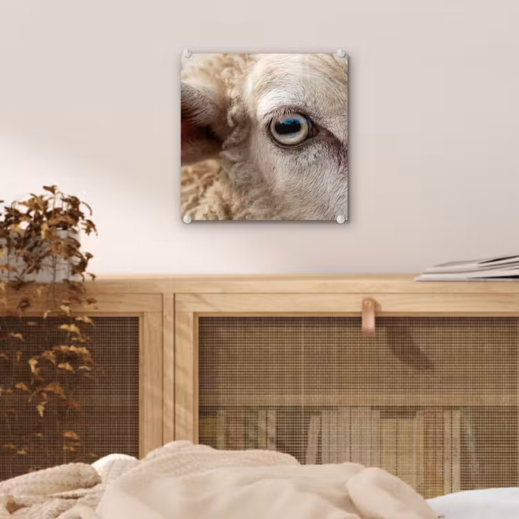 Schaap - Oog - Wit plexiglas 5mm klein -sfeer4